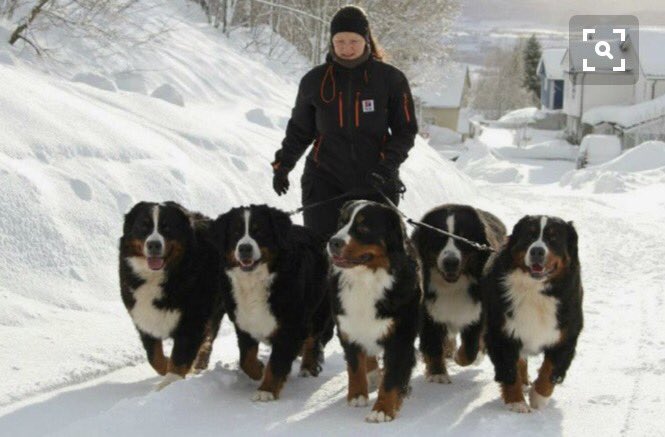 devin_orr5's tweet photo. brief look into my future https://t.co/7St57WN9ni