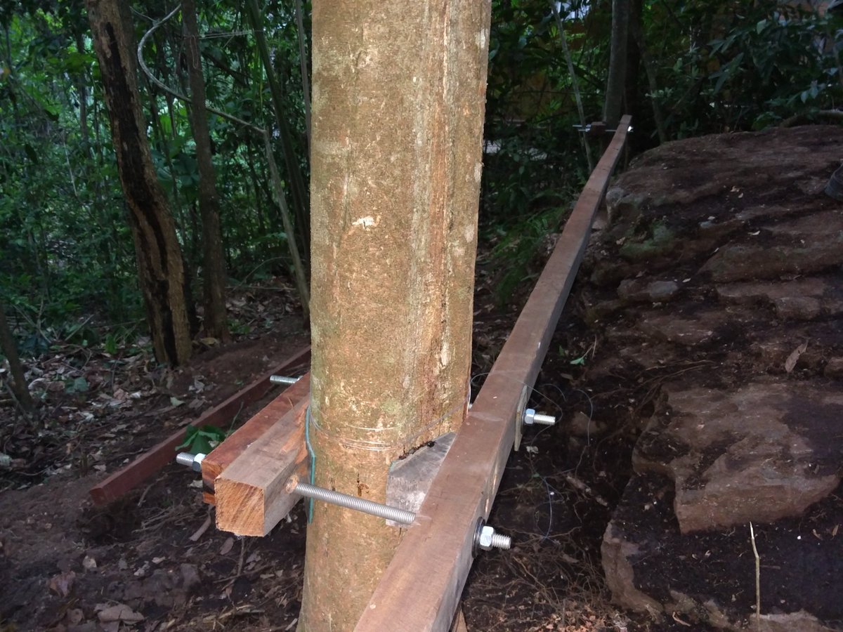 whatshouldbazdo's tweet image. This is a new kind of joint for me. #BuildingStuff &amp;amp; #WorkingWithNature @Worldpackers #Worldpackers #Travel #JackOfAllTrades