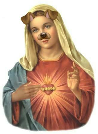 Ale_Feik_LH's tweet photo. #MásNacoQueUnGuadalupano https://t.co/NQmP2jWdHO
