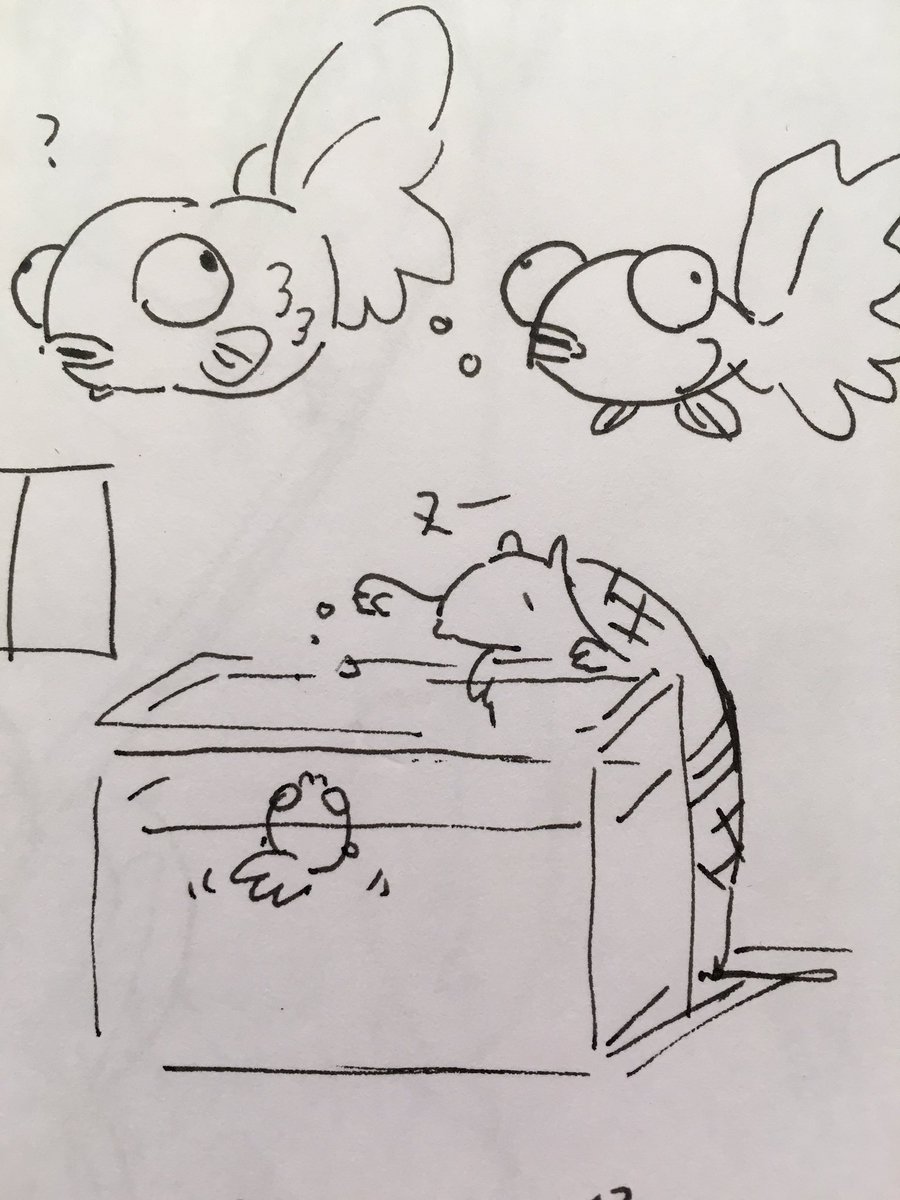 キンデメちゃん試行錯誤とえさをあげるジョン 