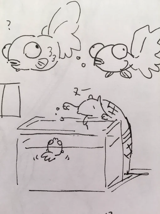 キンデメちゃん試行錯誤とえさをあげるジョン 