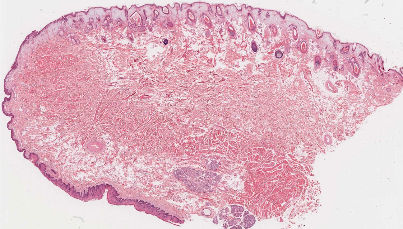 Dr Jamie Chapman в Twitter "Here's the link to my poster on the