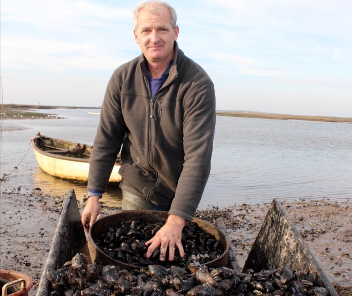 Tom Large's delicious mussels fresh from #brancaster quay taste them <a href="/WhiteHorseBranc/">The White Horse</a>
