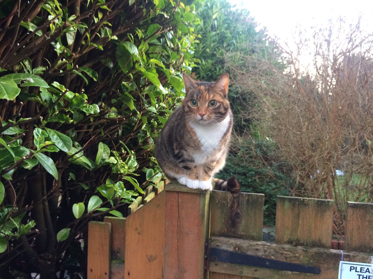 sumBunny2luv's tweet photo. SumBunny's being watched 😱 https://t.co/Cmeu5VZz9S