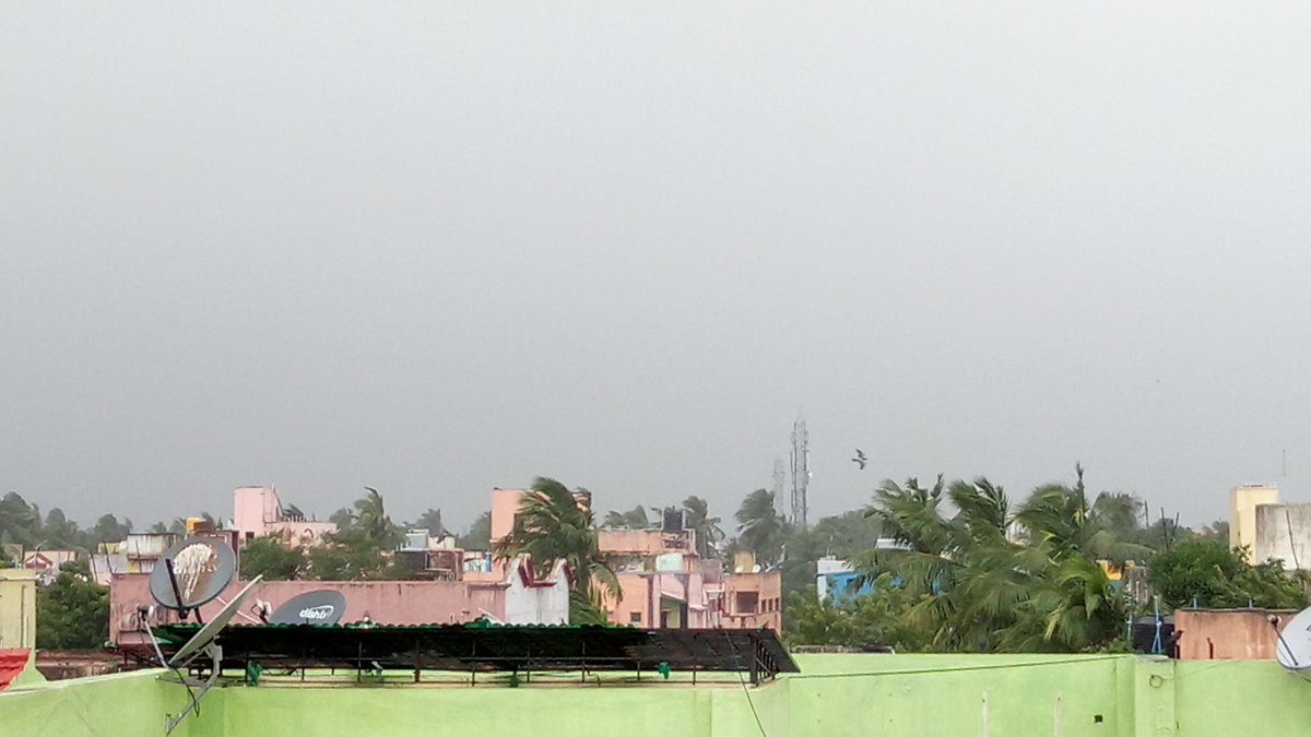 aravkrish's tweet image. A windy day. 
#Vardah  #Chennai
