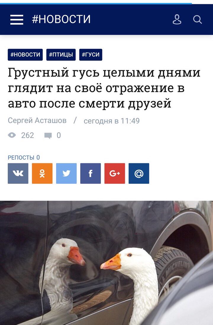  StalinGulag - Tvitor.ru