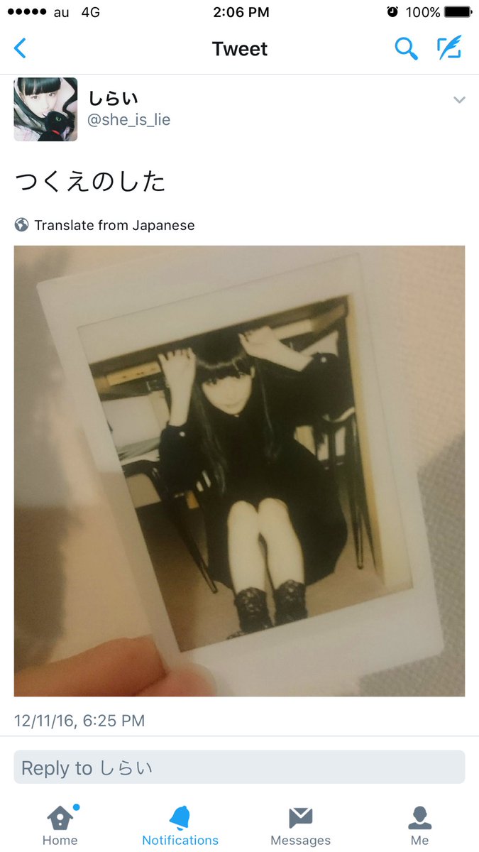 しばやま🪞🕯️ tweet media