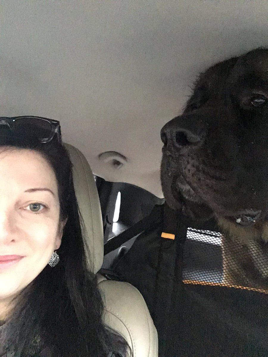 SuRoCDA's tweet photo. Comparative head sizes. #MeAndMyDog #Peanut #GiantDogProblems https://t.co/F7MUZKdJQR