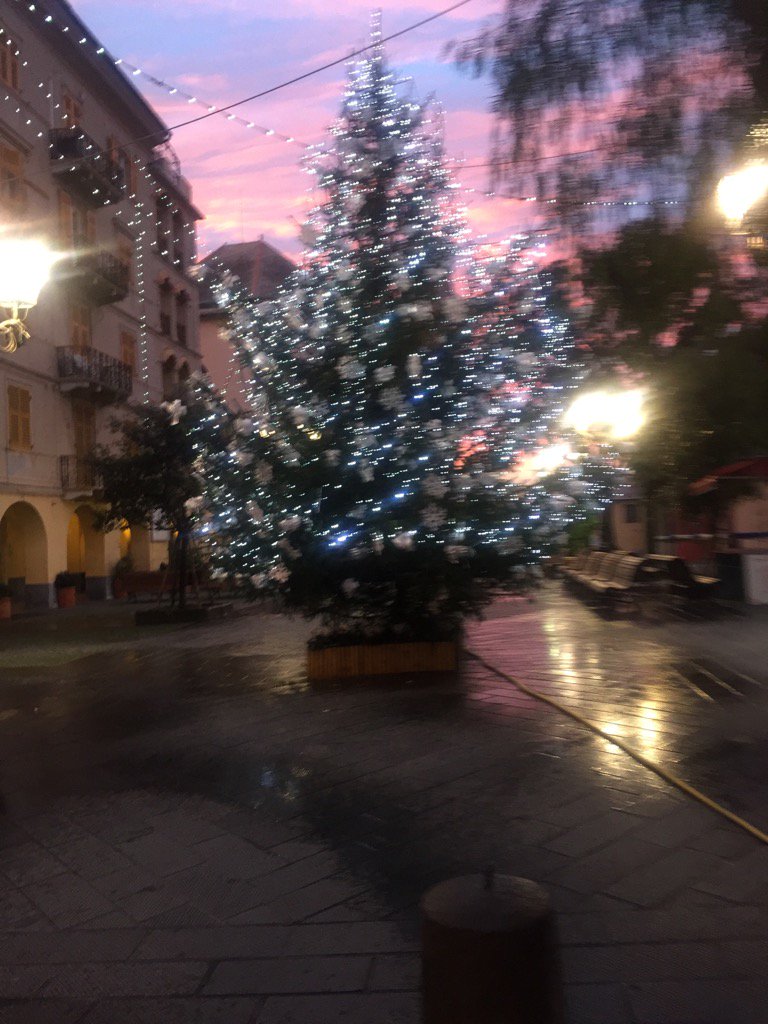 Salvatore Pierini (@salvatorepieri1) on Twitter photo 