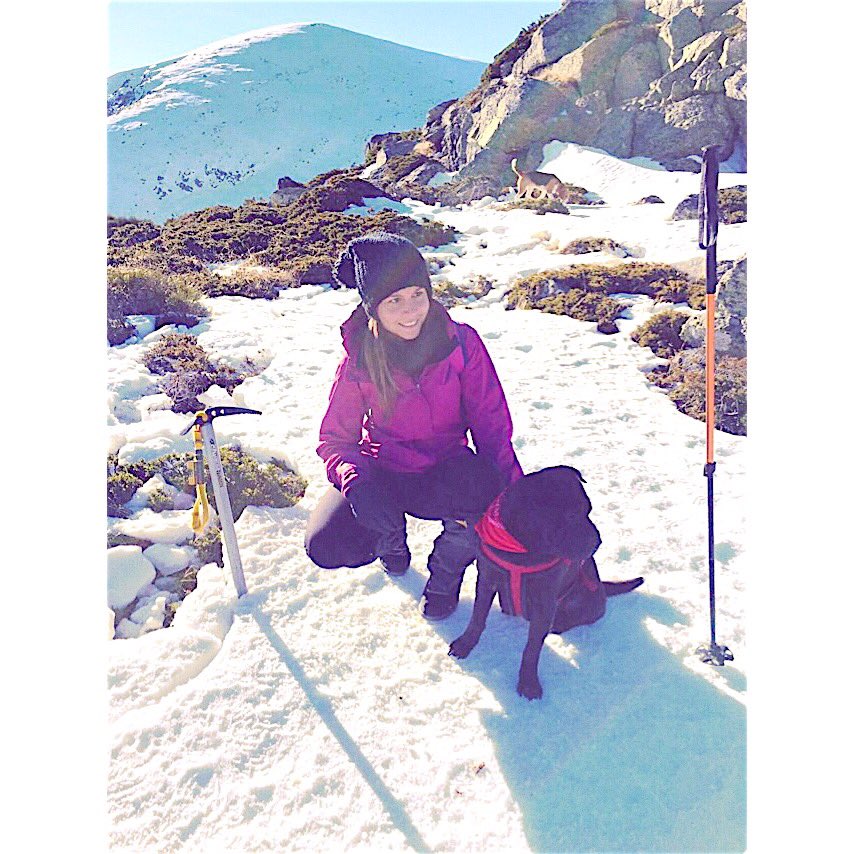 G U A D A R R A M A ❄️ #Neko #Sharpei #PaisajesInvernales #WinterisComing