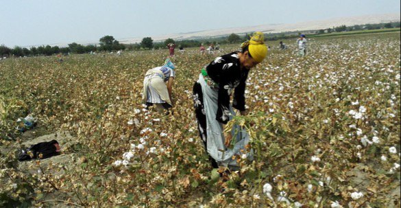 steveswerdlow's tweet photo. .@Europarl_EN Don't sell out #Uzbekistan's people in today's vote on #Textile deal. Examine all the evidence: https://t.co/VHW93v9w8q https://t.co/qeezSOFTSK