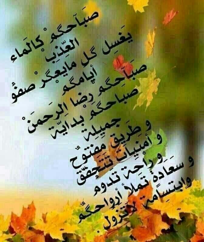 xHWqxRDY4ifDMSP's tweet image. صباح الخير