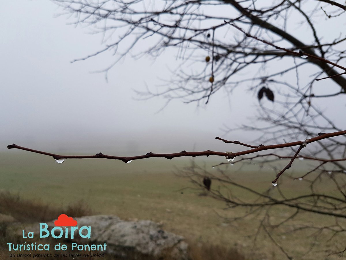 La boira és una religió, que genera amor i odi. No hi ha terme mig. Per tant, respecteu les creences de tothom.Però no menyspreeu a ningú.
