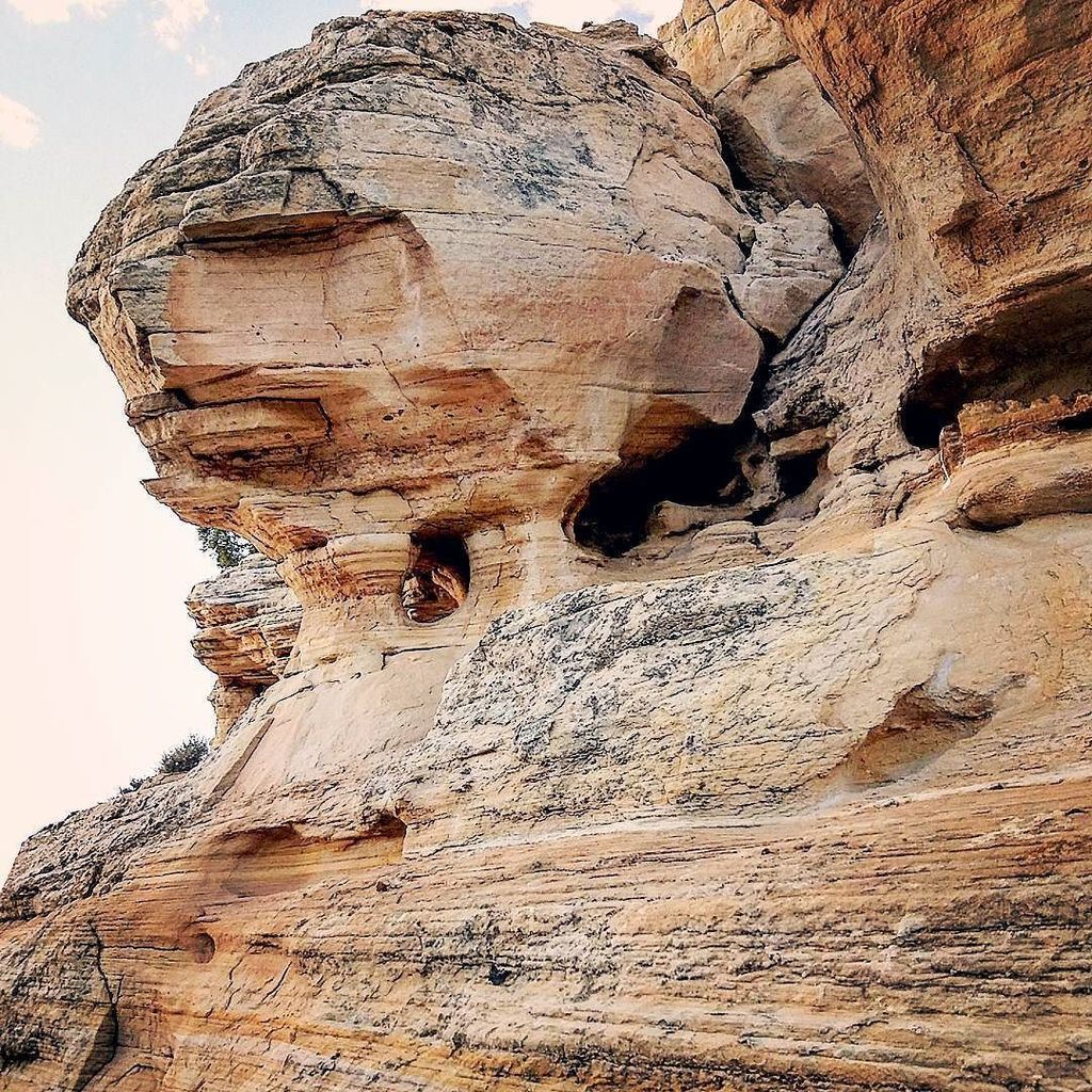 AddictedToYum's tweet image. “Live in the sunshine, swim the sea, drink the wild air.” ~ Ralph Waldo Emerson