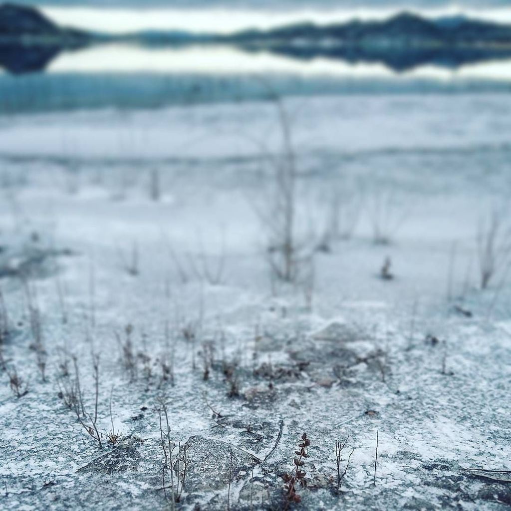 AddictedToYum's tweet image. “The dream crossed twilight between birth and dying.” ~ T. S. Eliot