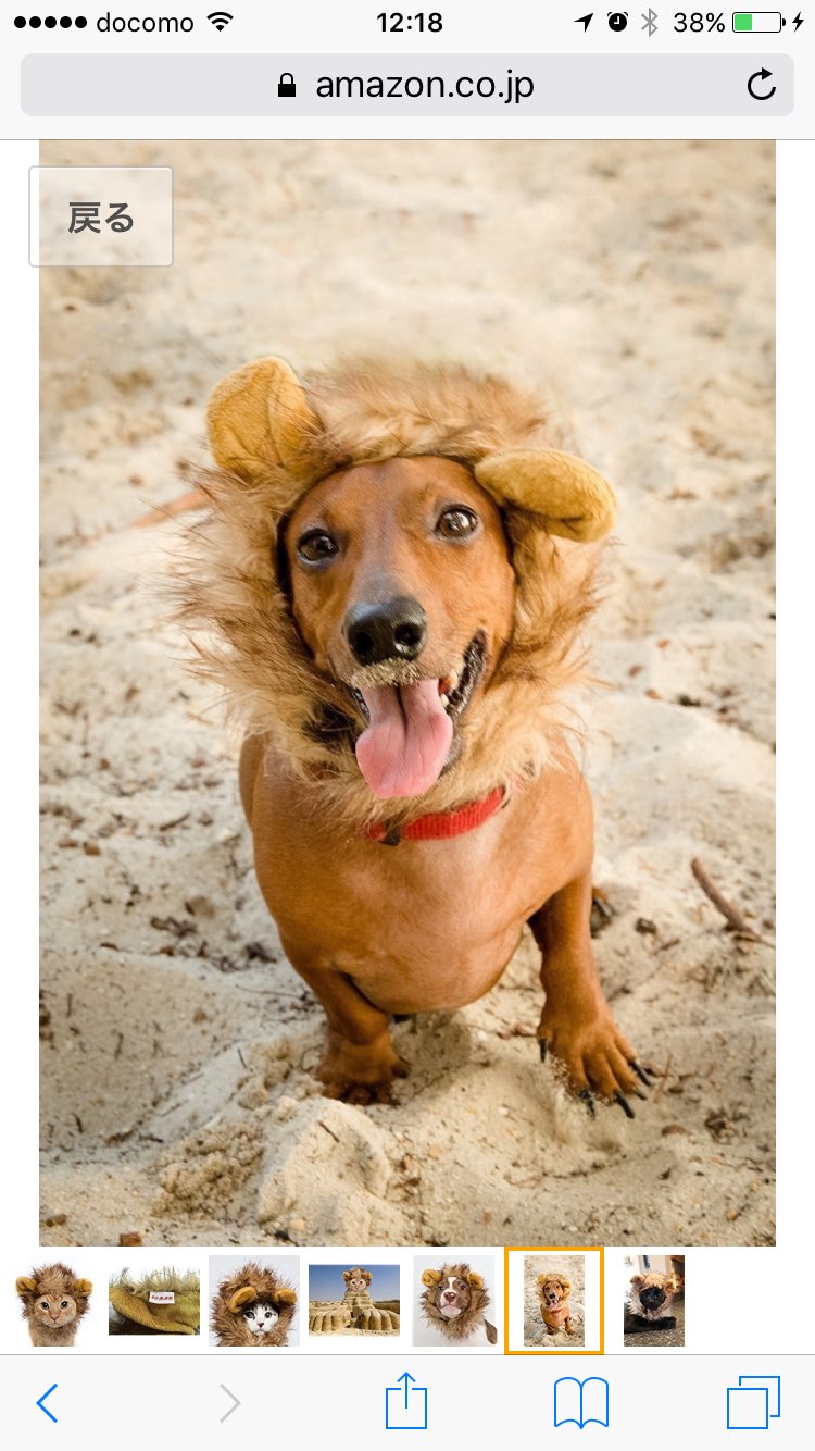お Amazonのcmが可愛すぎて 犬猫用ライオン変身たてがみを やっぱりamazonでポチりと 購入してしまった かわゆ過ぎる 絶対嫌がるんだろうなぁwww アマゾンcm ライオン変身 変身グッズ T Co Lhsmjus0mj Twitter