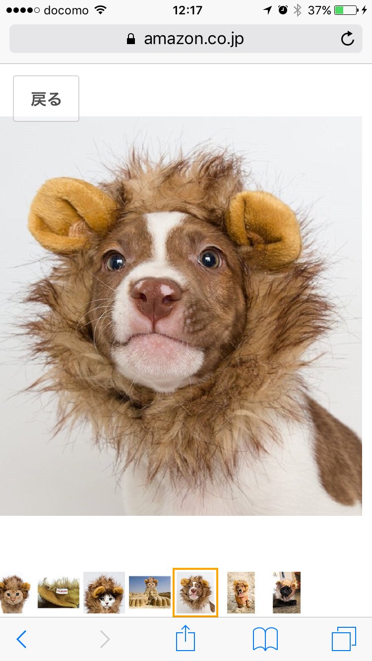 お Amazonのcmが可愛すぎて 犬猫用ライオン変身たてがみを やっぱりamazonでポチりと 購入してしまった かわゆ過ぎる 絶対嫌がるんだろうなぁwww アマゾンcm ライオン変身 変身グッズ T Co Lhsmjus0mj Twitter