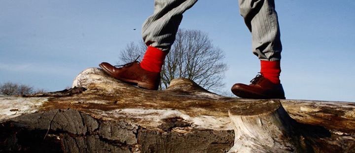 BoxerAndBloomer's tweet photo. Yesterday we went out for a photo shooting with the new @MINGABERLIN #socks! https://t.co/HETJPYyP43 https://t.co/4EQmXIhMzh