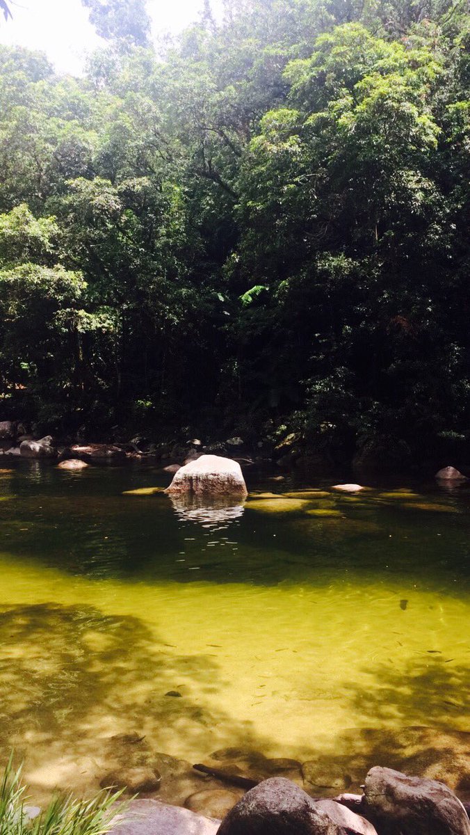 marksglobe's tweet photo. 📸 Cape Tribulation, Australia. https://t.co/8fJaCkS9Ri
