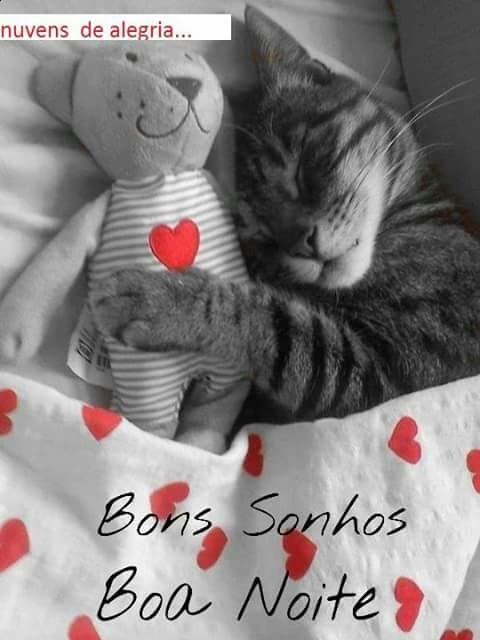 barbuleta2's tweet photo. @thalyrosio @GalinacioSilva @666_alhlwan @TM1DN @2020sahara @perrro2 @LiliBodo @Leeza_TMJ @Chuca_85 @BeilicErika @SakaSakamori @jornalnh https://t.co/dfzUVdgTOm