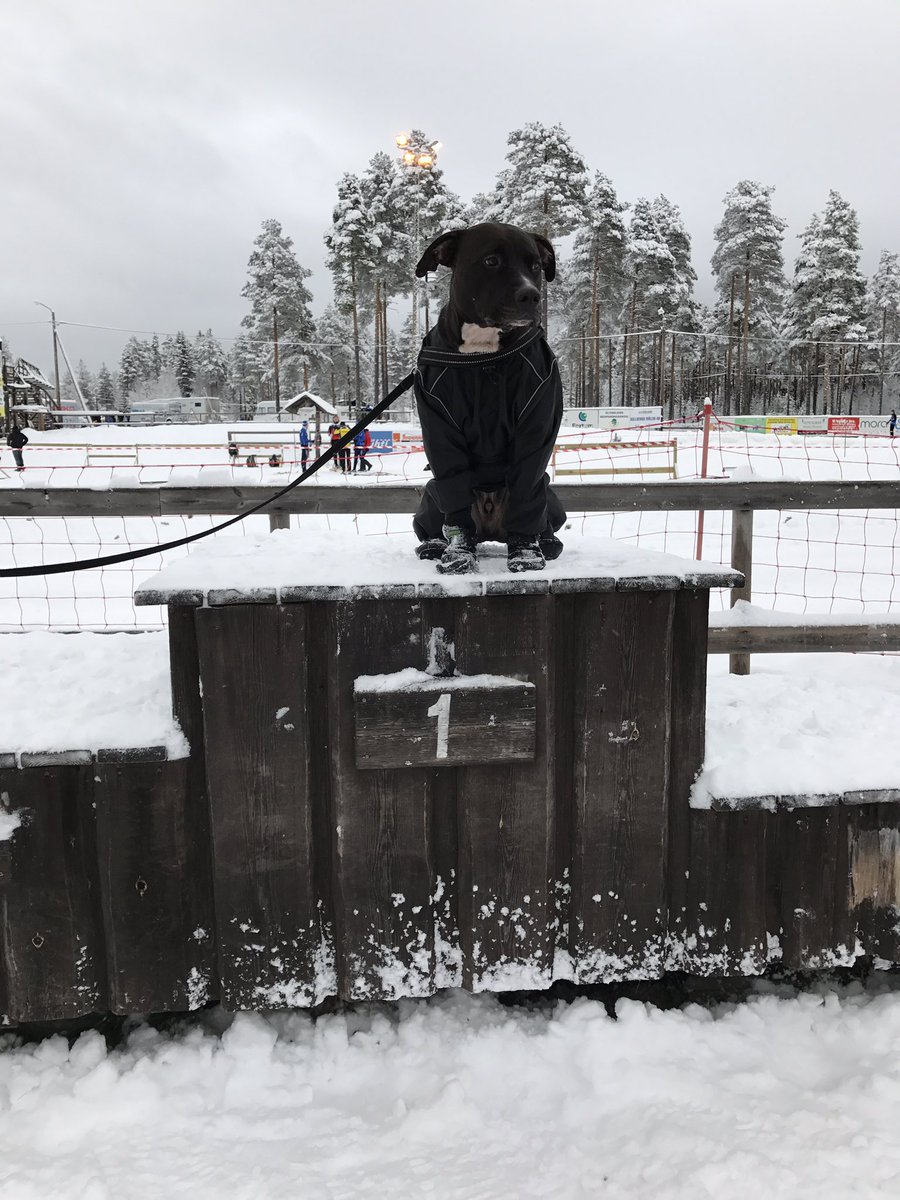 AddeSteek's tweet photo. 1 - träning/tävling - keto
https://t.co/94t1SsPDvr
#1 #träning #keto #ketogen #kost #fasta #korttidsfasta #colting https://t.co/vFx8EKKKCN