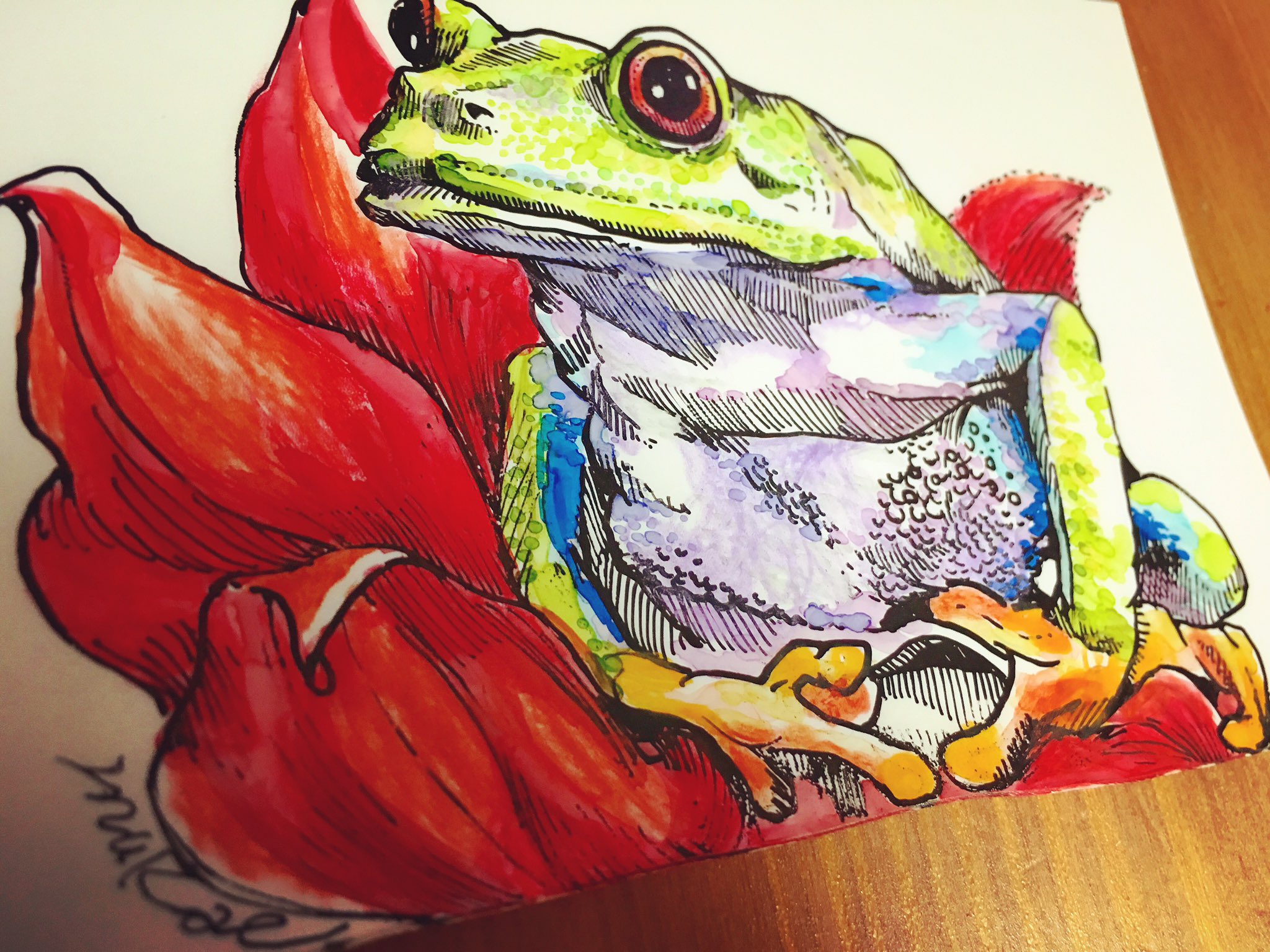 Ooaza Mukae France Japon モチーフとしてオシャレで可愛いな カエル イラスト イラストレーター マグネット 絵 両生類 かえるグッズ Ooazamukae マグネット かえるマグネット リアルカエル デザイン いきものマグネット Ooaza Mukae France Japon モチーフとしてオシャレで可愛いな カエル イラスト イラストレーター マグネット 絵 両生類 かえるグッズ Ooazamukae マグネット かえるマグネット リアルカエル デザイン いきものマグネット