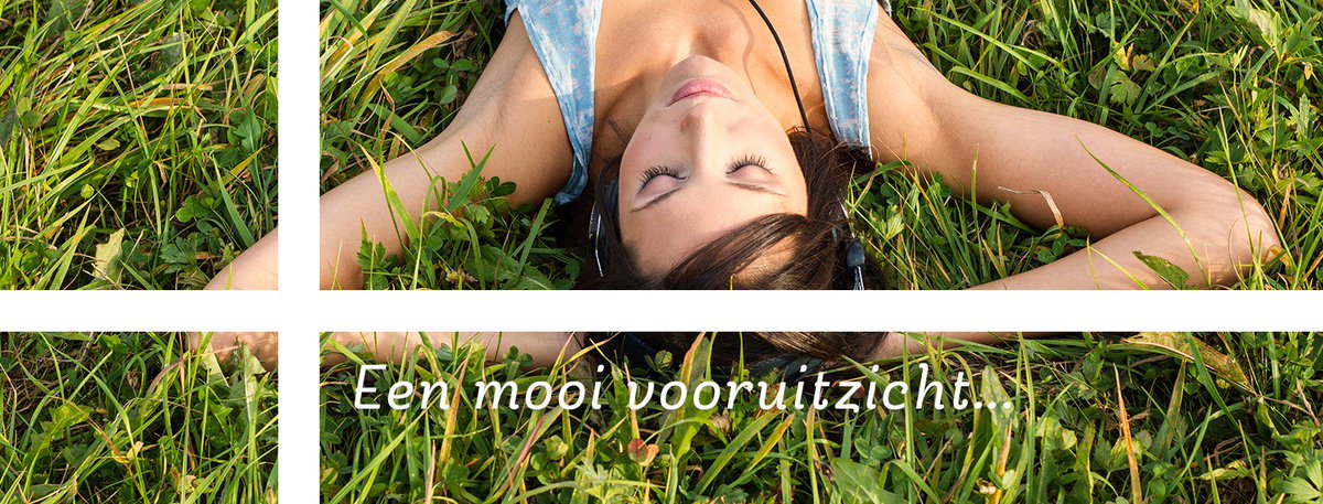 Succesvolle start verkoop Park ter Does - lithos.nl/nieuws-algemee…