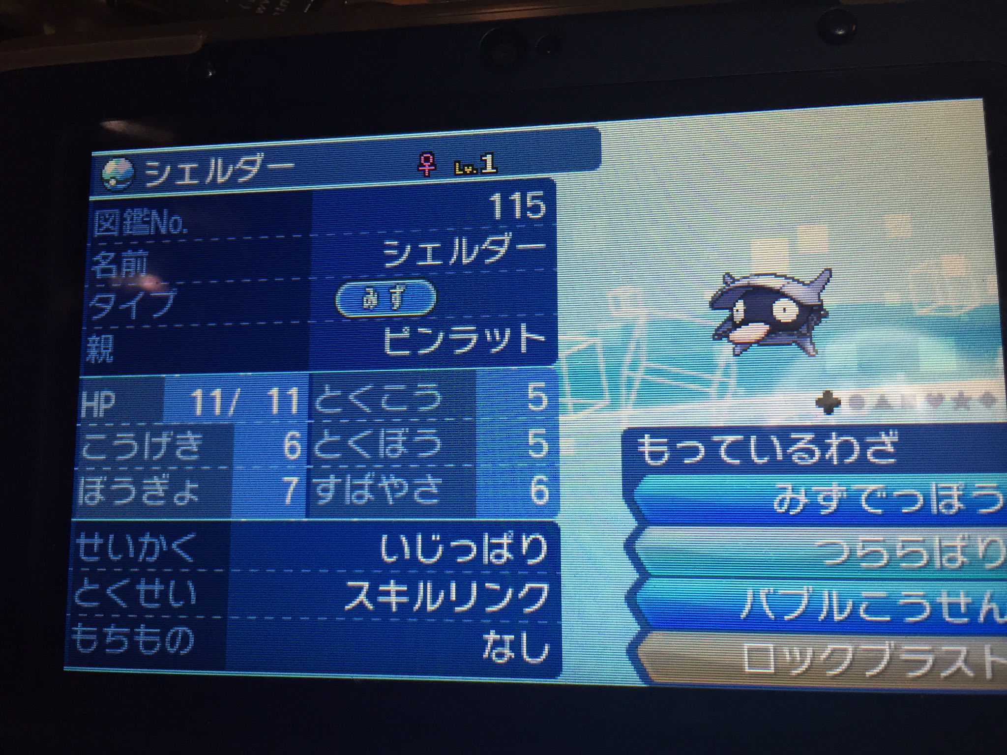 ぽぱい ポケモンsm Popaipkmn Twitter