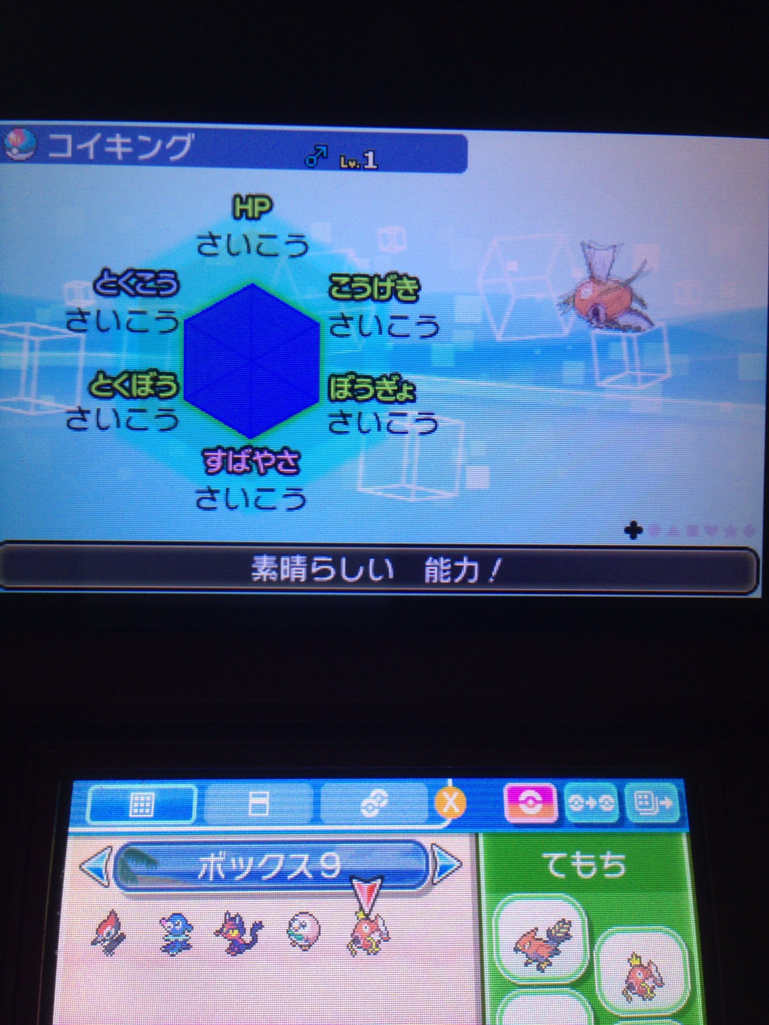 暗黒騎士キバzexal コイキングの厳選孵化は完璧な6v個体値ができました 性格は素早さを活かせるようきです これは良いギャラドスになりそう ポケモンサンムーン 6v 孵化厳選 いいねした人全員フォロー T Co E10ugljsxl Twitter