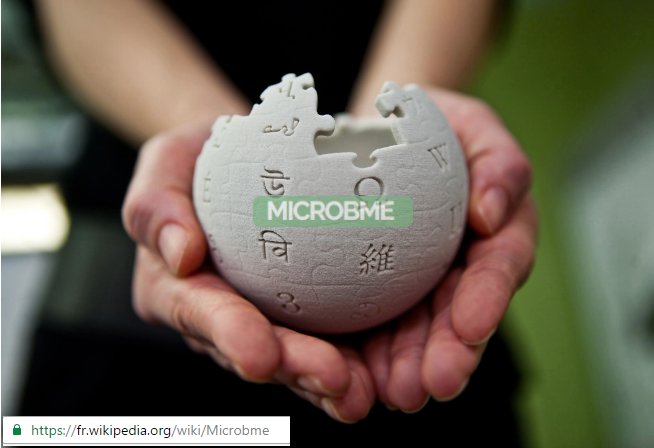 Microbmeoff's tweet photo. Microbme a sa propre page wikipédia !
En exclusivité pour vous bande de curieux: https://t.co/VRHJzImCww https://t.co/mYzJNQOx3Q