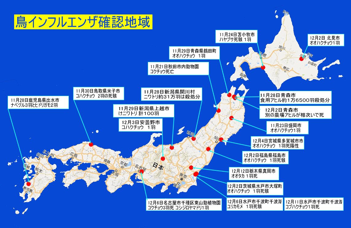 鳥インフルエンザの感染が拡大しています