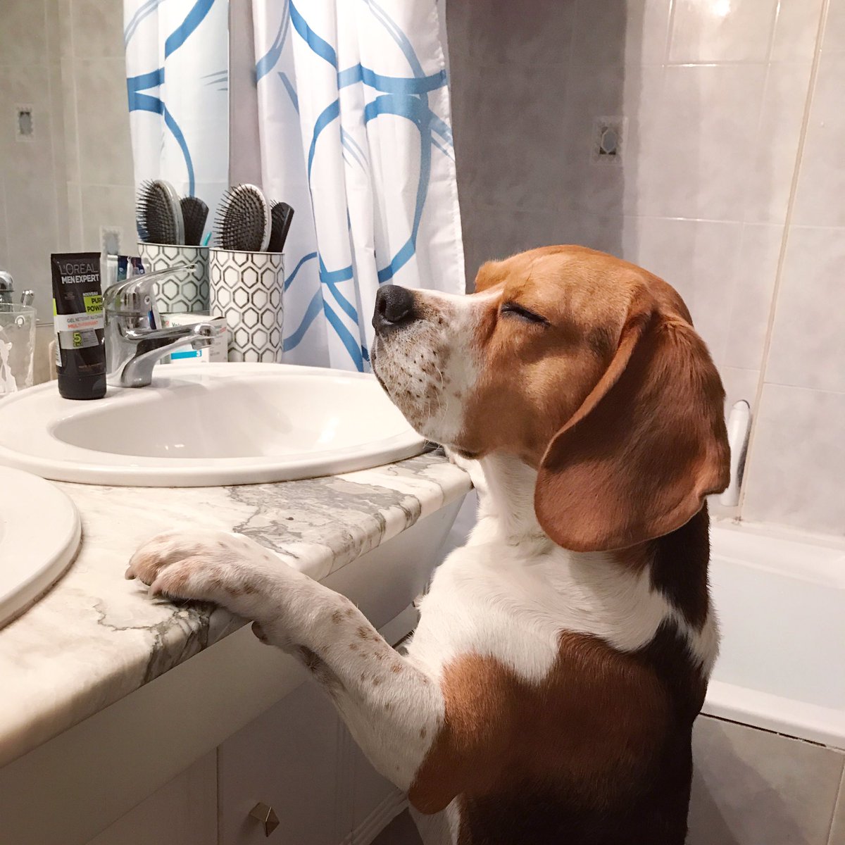 Comme un lundi matin 😤😤😤 c'est bientôt Noël les copains! Alors courage et bonne semaine à tous!