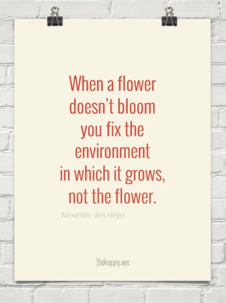 BarbaraUDL4Me's tweet photo. Great analogy 4 why we need #udl learning environments. @flipgrid @CAST_UDL @mattbergman14 @ElizabethLStein https://t.co/wvADJMafxO
