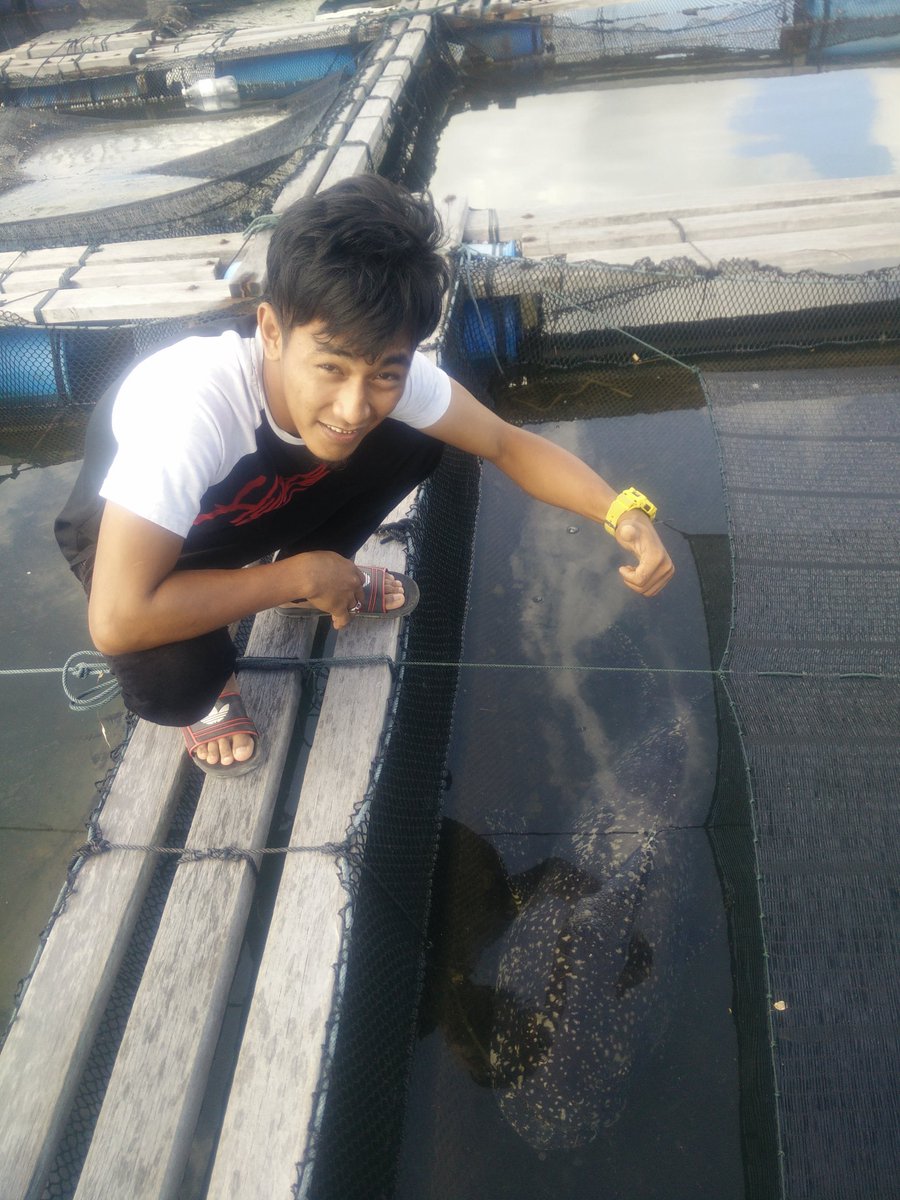 _k3ruk's tweet photo. Ikan besar 😂 https://t.co/myWQbinxiy
