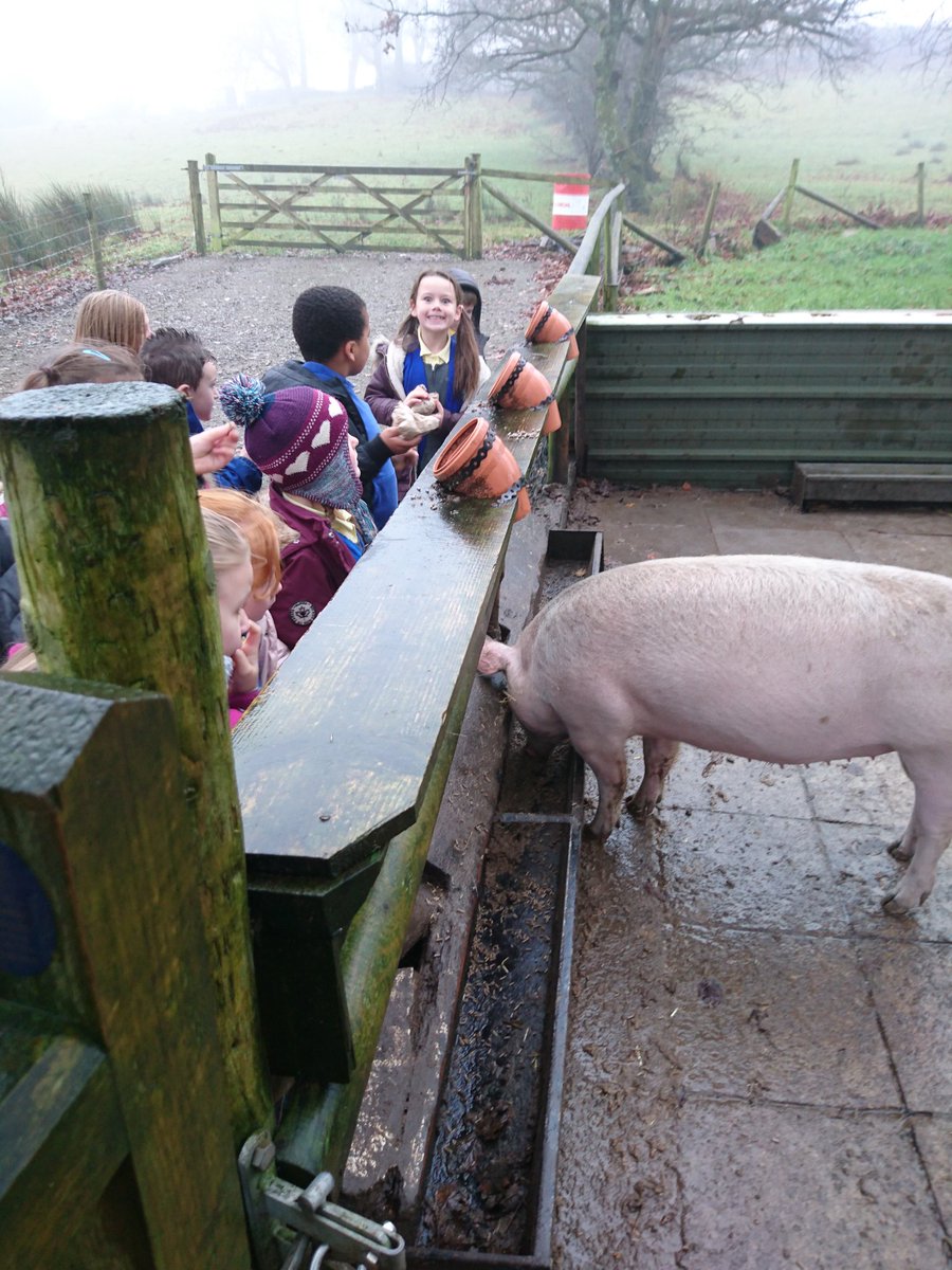 portmeadp's tweet photo. We've arrived and we're feeding the animals. #pmdpy2 #pmdptrip https://t.co/tiA48e5YeU