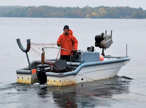 EU_FAMENET's tweet image. "Increasing value of fish without increasing captures” is this Swedish FLAG's motto! See how they achieve their goal buff.ly/2hoiMQ5