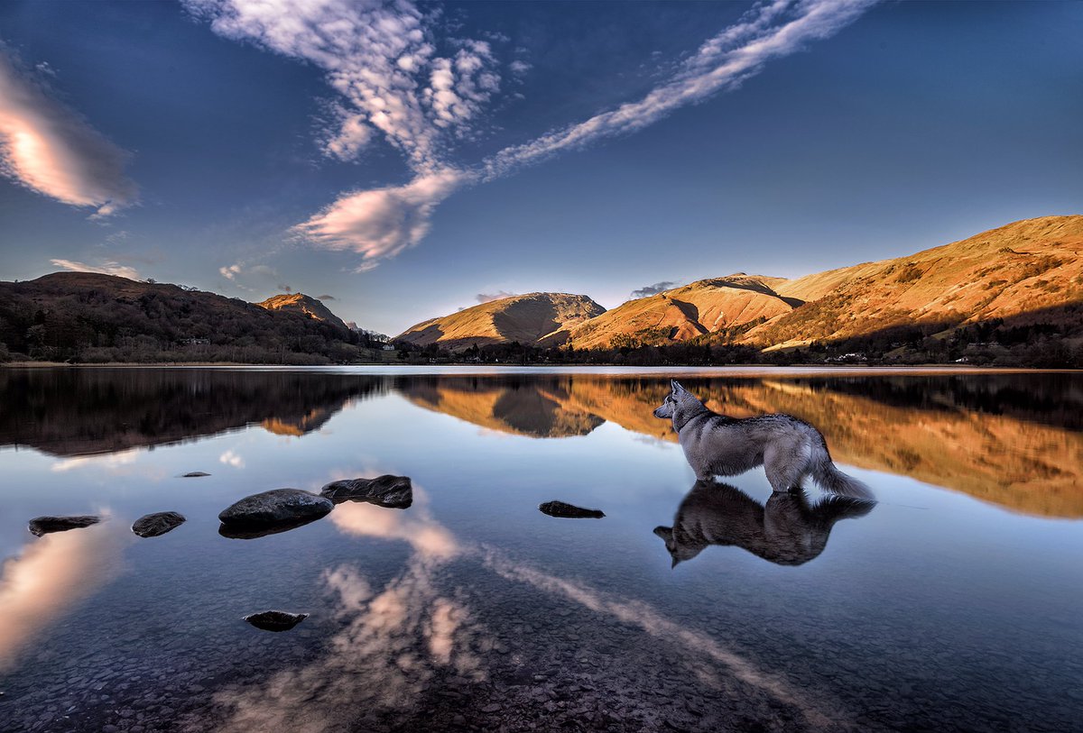 ZenMinded's tweet photo. An article on mindfulness &amp; the wilderness:

https://t.co/8wDMzeedjp

#mindfulness #wilderness #zen https://t.co/b14nXv48DJ