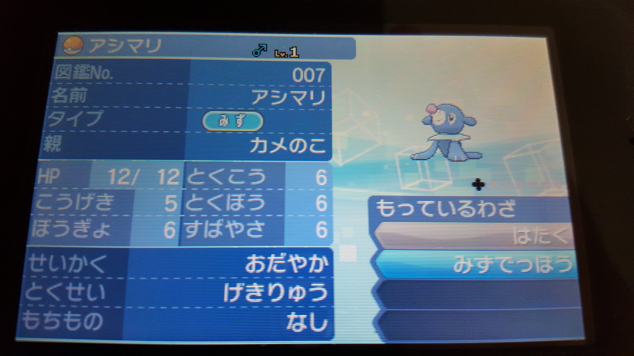 カメの子 ポケモン配布 第1回ポケモン配布 ポケモン アシマリ 性格 おだやか 個体値 A抜け5v 募集人数 10人 参加方法 フォロー いいね 期日 12月13日23時59分まで 参加した方の中から抽選致します 抽選結果は後日ツイートと当選者へのdmで発表致します
