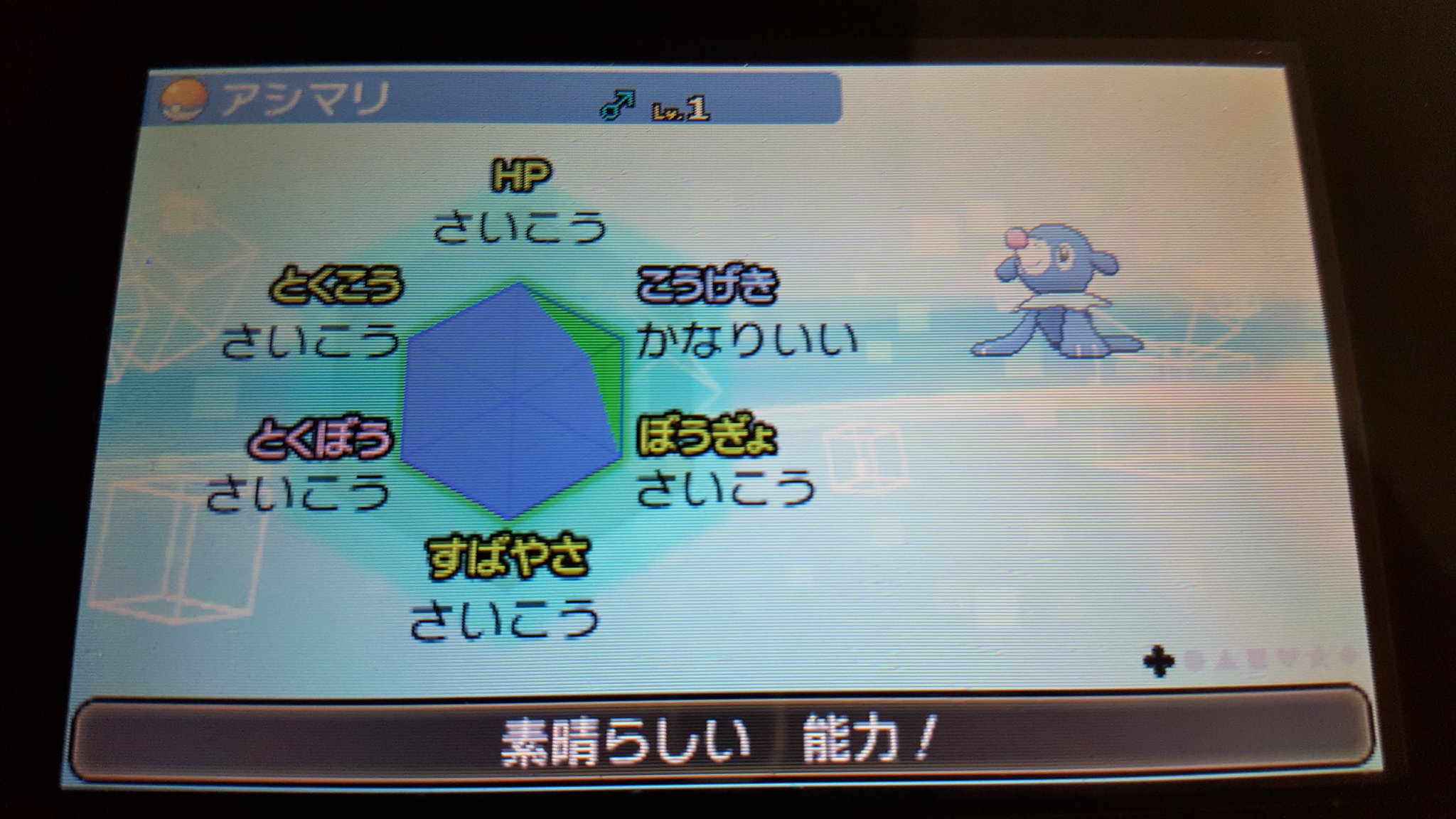 カメの子 ポケモン配布 第1回ポケモン配布 ポケモン アシマリ 性格 おだやか 個体値 A抜け5v 募集人数 10人 参加方法 フォロー いいね 期日 12月13日23時59分まで 参加した方の中から抽選致します 抽選結果は後日ツイートと当選者へのdmで発表致します