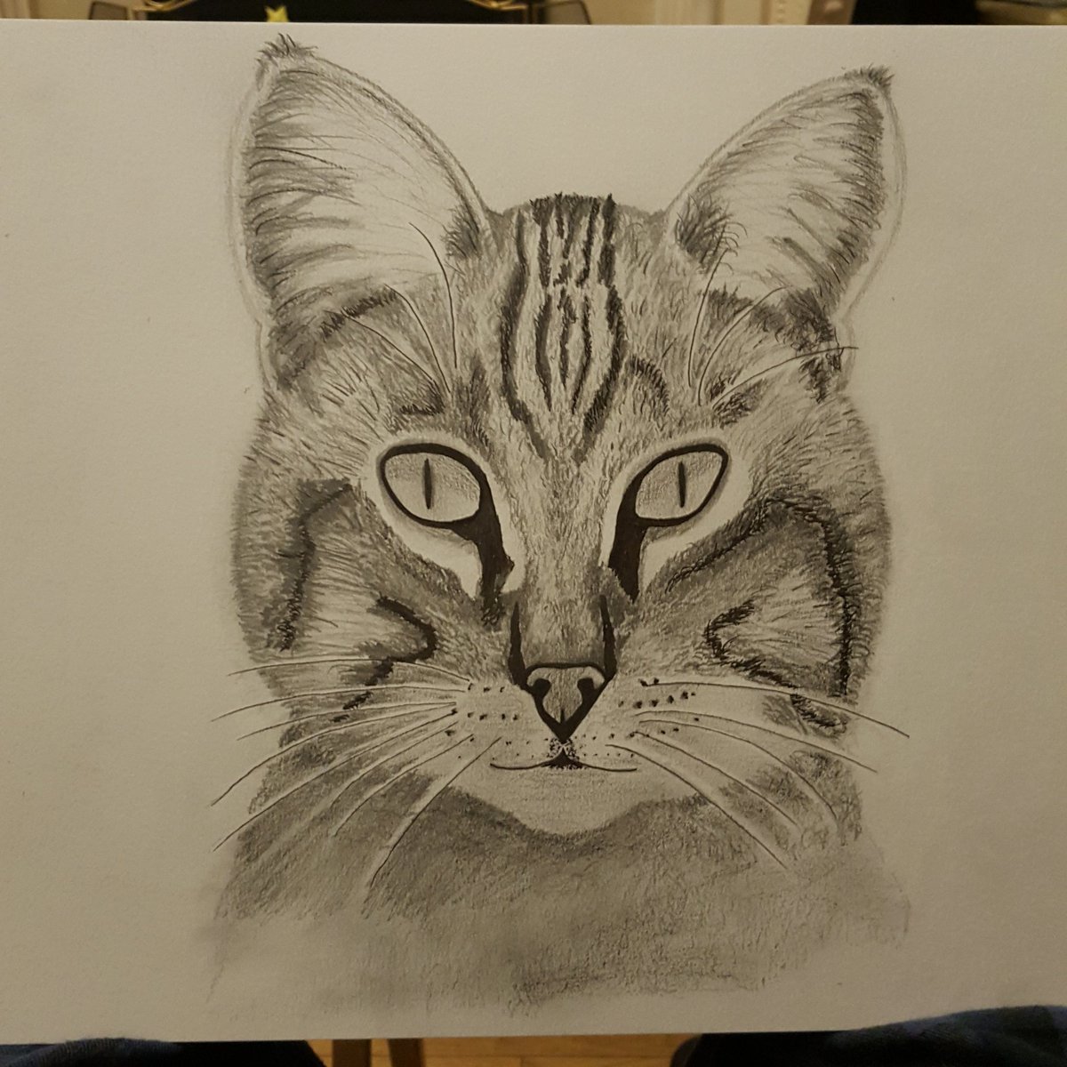 patch963's tweet image. Had a go at drawing in pencil and ink