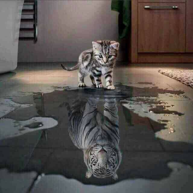 ali_ok38's tweet photo. عندما تعطي أحدهم أكبر من
 #حجمه سوف ينسى
 #شكله_الطبيعي..
هكذا بعض البشر عندما تهتم به 
وتعطيه أكثر من
#حجمه سوف #يتكبر_عليك https://t.co/XV0eJPjUdF