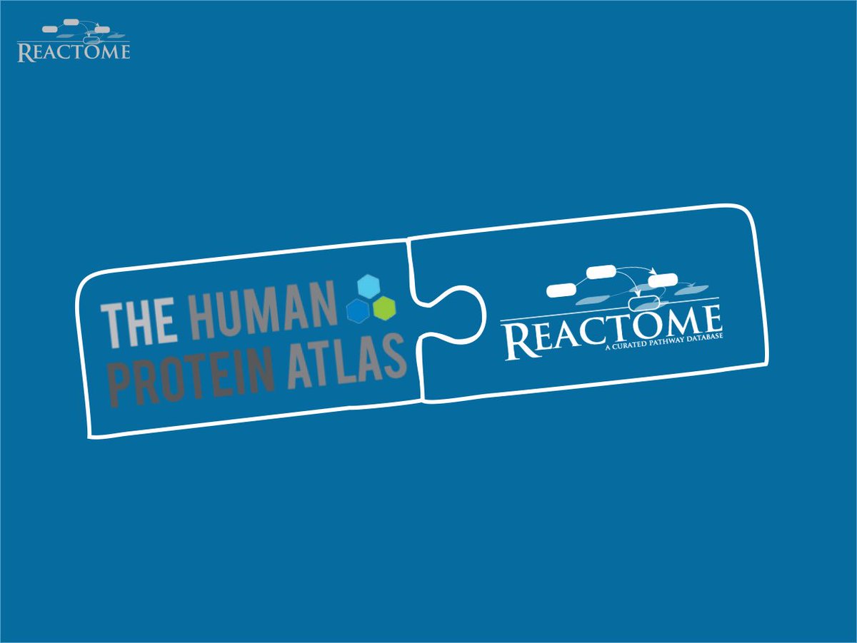 reactome's tweet image. Great news! @HumanProteome now uses our #AnalysisService to cross reference us. Learn more at goo.gl/lAIBou #UseReactome