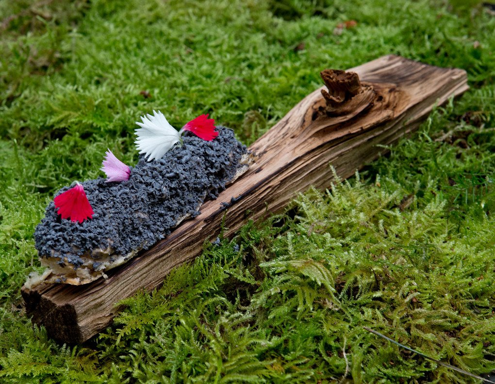 De las cenizas de foie de <a href="/enekoatxa/">Eneko Atxa</a> al arroz del mar con conchas marinas de <a href="/MMarteAllard/">María Marte Allard</a>: 10 morphing culinarios goo.gl/awZSdz