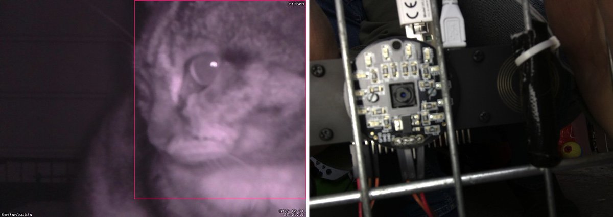 erwinharkink's tweet image. Keeping an eye on my cat with a #PiZero , #ZeroView , #Lisiparoi and #MotionEyeOS