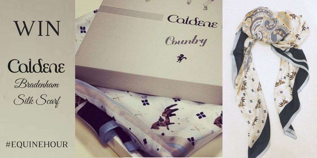 EquineHour's tweet image. RT &amp;amp; Follow @Caldene for a chance to WIN this Beautiful Bradenham Silk Scarf

Draw this Sunday 8-9pm at #EquineHour