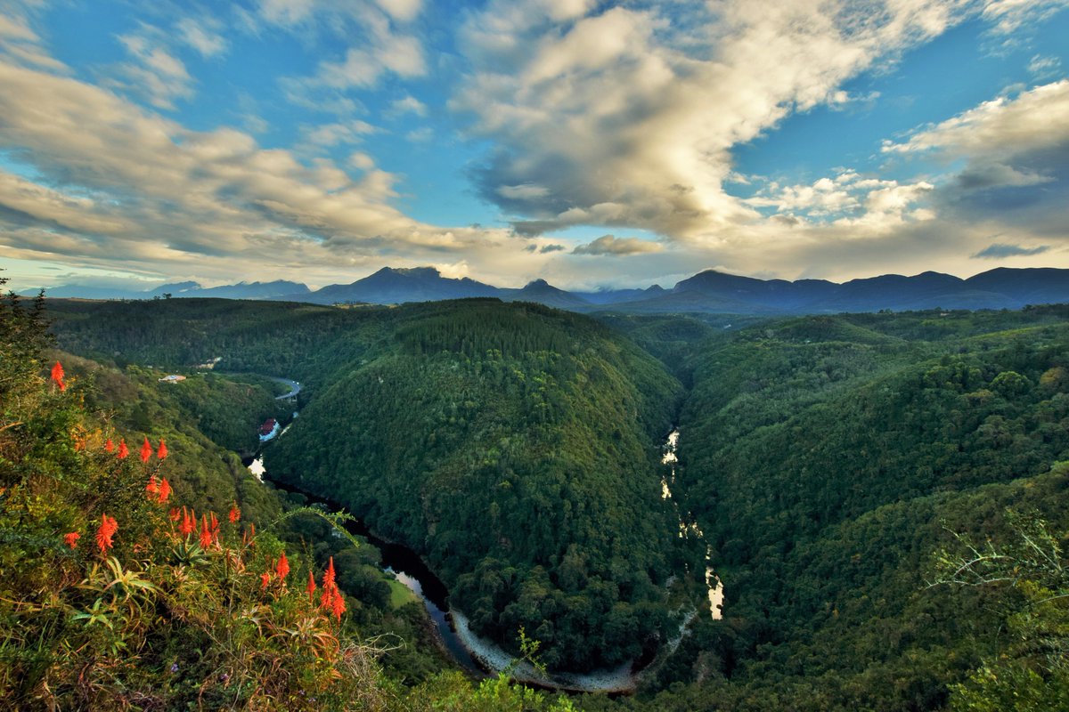 Find the famous 'Map of Africa' lookout on the Wilderness Trail System. Photo: Rest a while Tours #trailrepublic #georgetrails #greensport