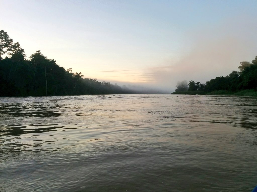 onlygooverland's tweet photo. After a couple days in the jungle seeing all sorts of birds, monkeys and even elephants we're back in civilisation #travel #Borneo #Malaysia https://t.co/CImUnofVpu