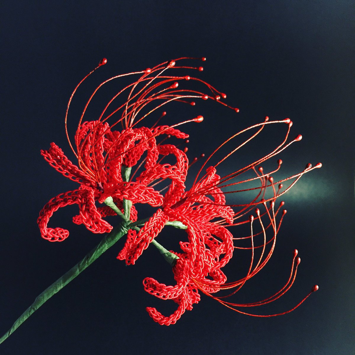 今年最後のお教室に行って来ました。 締めくくりは季節外れの彼岸花