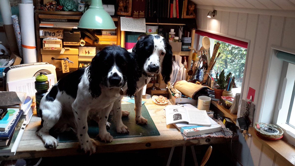 DarahSean's tweet image. Step away from the dissertation and walk the dogs! #notsosubtle #sprockers