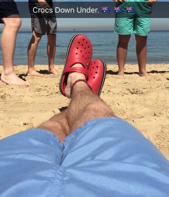 CrocsForCats's tweet photo. Crocs for Cats is going abroad! #Australia 🇦🇺 https://t.co/wx5vR2w40p